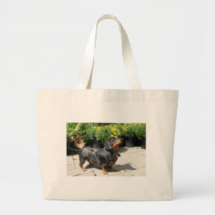 Silver Dapple Dachshund Buddy 2 Large Tote Bag