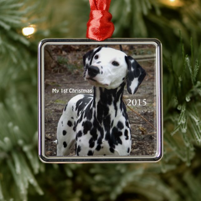 Silver Dog My First Christmas Photo Ornaments (Tree)
