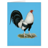 Silver Duckwing Gamecock (Front)