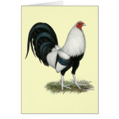 Silver Duckwing Gamecock (Front)