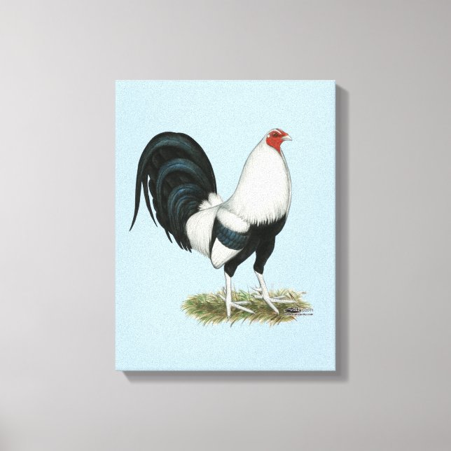 Silver Duckwing Gamecock Canvas Print (Front)