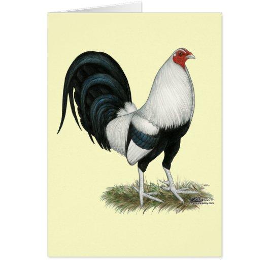 Silver Duckwing Gamecock Cards (Front)