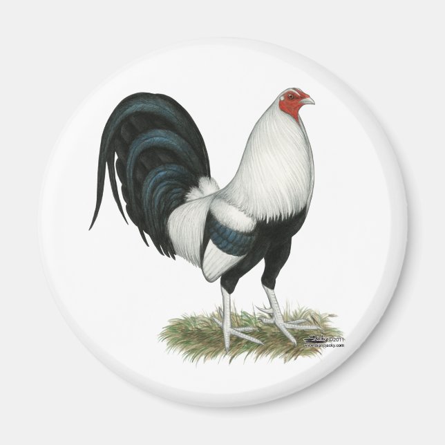 Silver Duckwing Gamecock Magnet (Front)