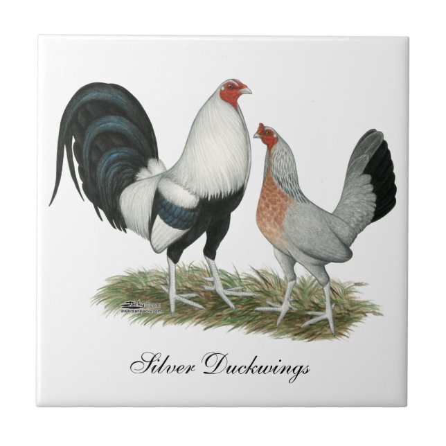 Silver Duckwing Gamefowl Tile (Front)