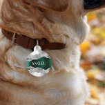 Silver emerald green metal agate marble name pet ID tag<br><div class="desc">Faux silver and emerald green metallic looking and agate,  marble stone print. Personalize and add a name on the front,  phone number on the back.</div>