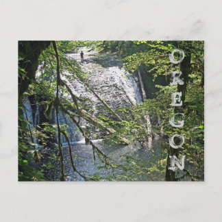 Silver Falls 4 Postcard