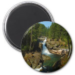 Silver Falls at Mount Rainier National Park Magnet
