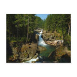 Silver Falls at Mount Rainier National Park Postcard