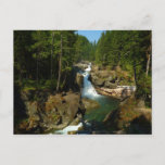 Silver Falls at Mount Rainier National Park Postcard