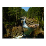 Silver Falls at Mount Rainier National Park Postcard