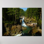 Silver Falls at Mount Rainier National Park Poster