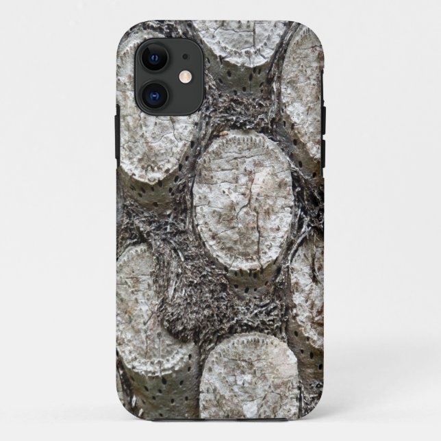 Silver Fern Tree iPhone SE+5/5S Case (Back)