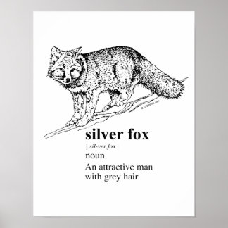 SILVER FOX - POSTER
