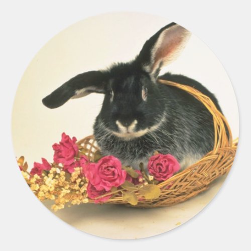 Silver fox rabbit named Boris flowers Classic Round Sticker