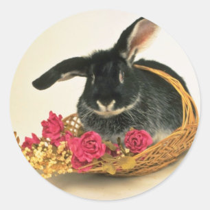 Silver fox rabbit named Boris flowers Classic Round Sticker