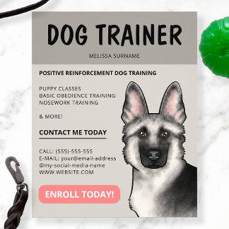 Silver German Shepherd Dog Trainer Pet Service Flyer