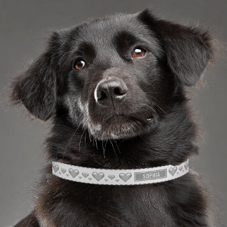 Silver Gray Hearts Love Valentine's Day Pattern Pet Collar