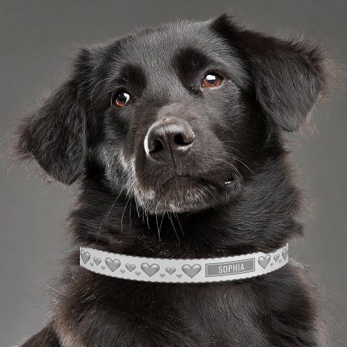 Silver Gray Hearts Love Valentines Day Pattern Pet Collar