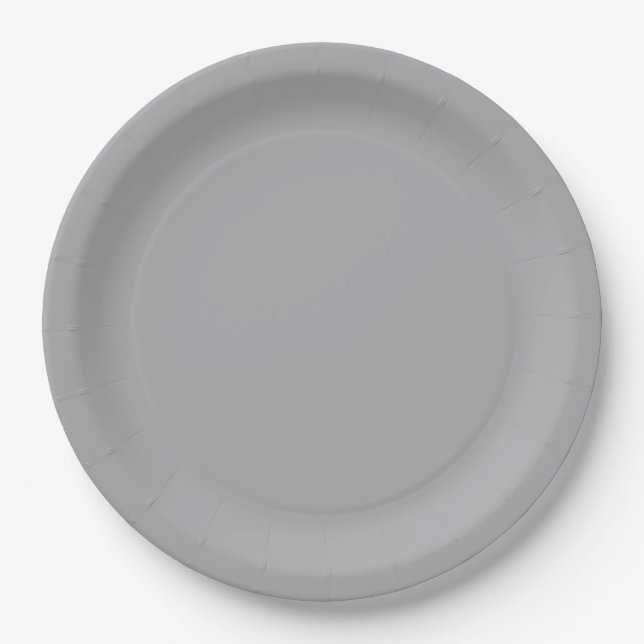 Silver Gray Paper Plates (Front)