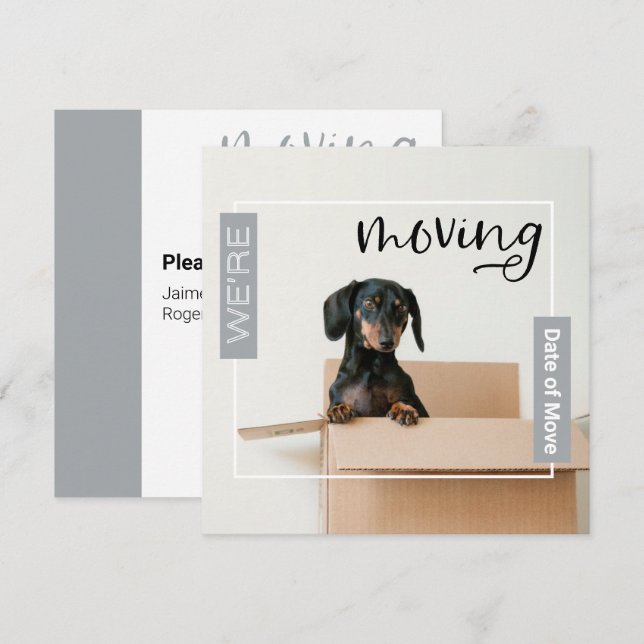 Silver Gray We're Moving Dachshund Dog in Box Card (Front/Back)