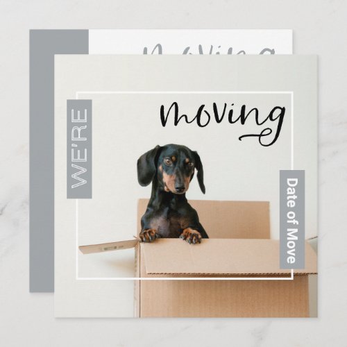 Silver Gray Were Moving Dachshund Dog in Box Card