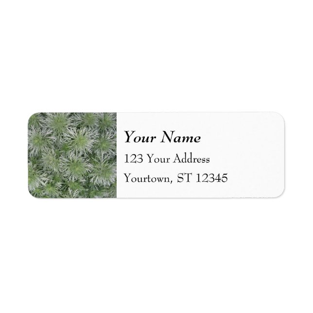 Silver Green Foliage Pattern Label (Front)
