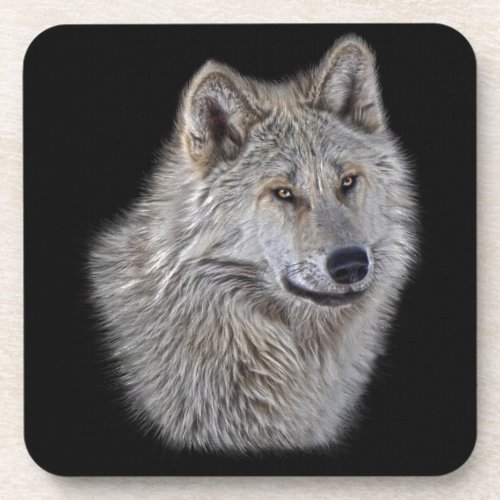 Silver Grey Wolf Wildlife Portrait Coaster