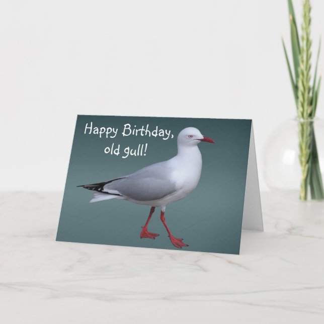 Silver Gull Card (Front)