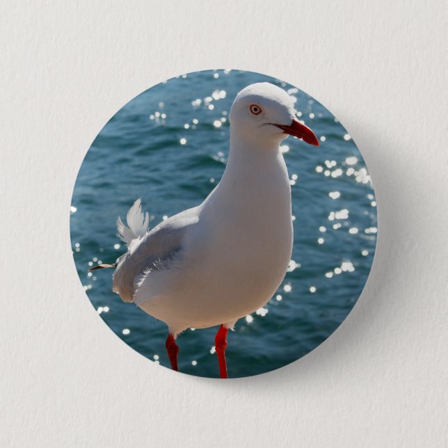 Silver Gull Pinback Button (Front)