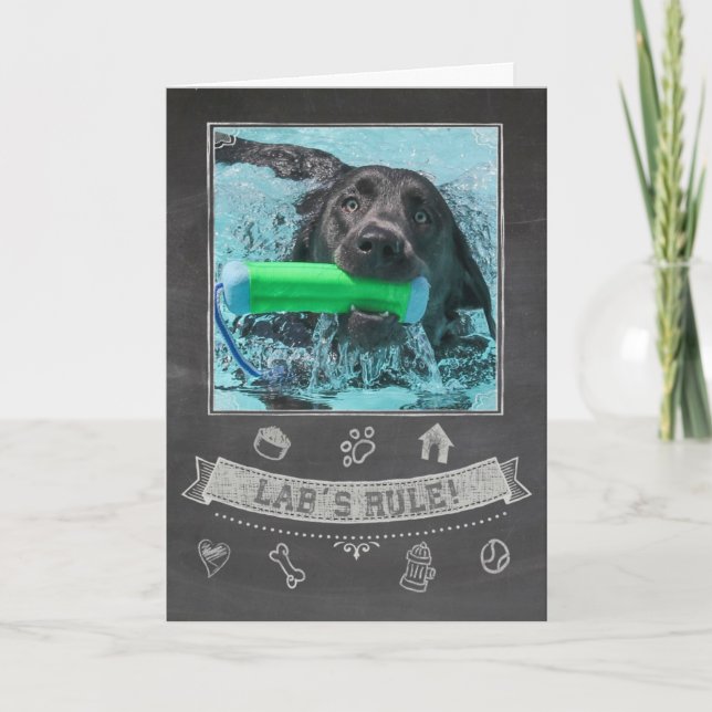 Silver Lab Chalkboard Birthday Card (Front)
