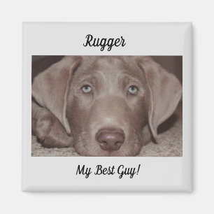 Silver Lab "My Best Guy" Magnet