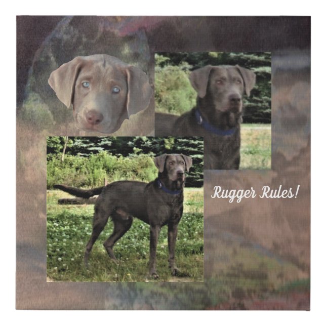 Silver Lab Photo Collage Faux Canvas Print (Front)