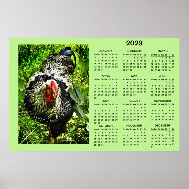 Silver Laced Wyandotte Rooster Bird 2023 Calendar 