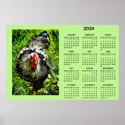 Silver Laced Wyandotte Rooster Bird 2024 Calendar 