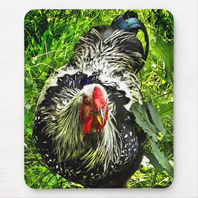 Silver Laced Wyandotte Rooster in Green Mousepad