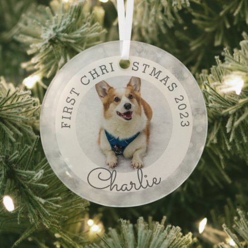 Silver Lights Pets First Christmas Photo Glass Ornament