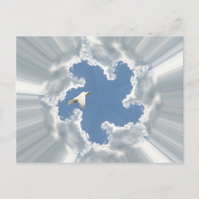 Silver lining cloud with flying dove postcard (Front)