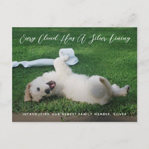 Silver Lining Photo Pet Adoption Announcement