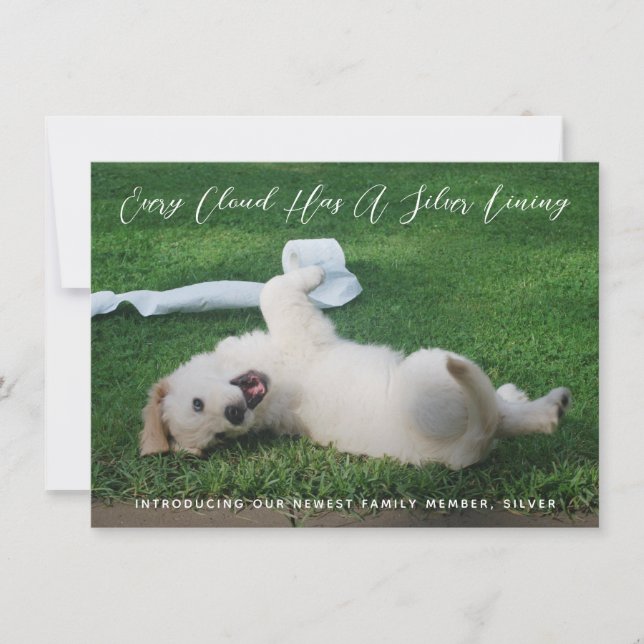 Silver Lining Photo Pet Adoption Announcement (Front)