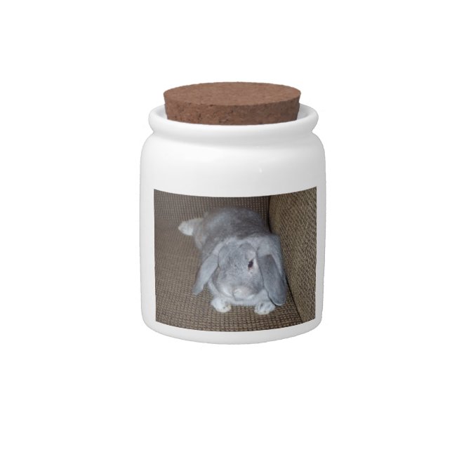 Silver Lop-Eared Bunny Rabbit Candy Jar (Front)