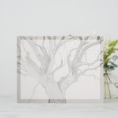 Silver Maple (Standing Front)