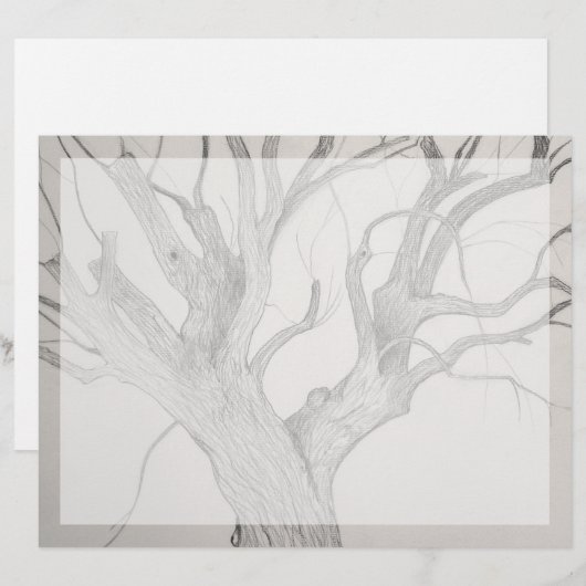 Silver Maple (Front/Back)