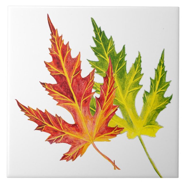 Silver Maple on a Ceramic Tile (Front)