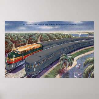 Silver Meteors "Seaboard" in Florida Highlands Poster