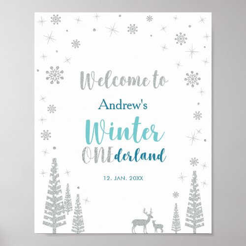 Silver Mint Winter Boy Birthday Party Welcome Sign