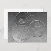 Silver Ornaments (Front/Back)