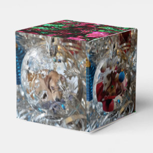 Silver Ornaments 4 Photo Favor Box