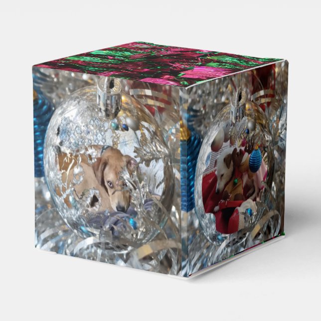 Silver Ornaments 4 Photo Favor Box (Back Side)