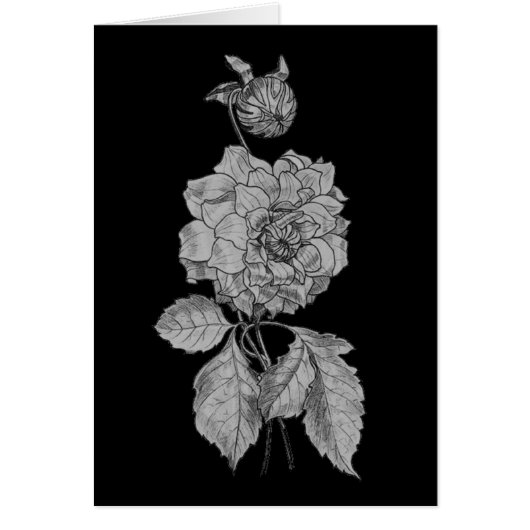 Silver Peony On Black Floral Art Card (Front)