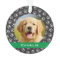 Silver Pet Paw Prints Green Custom Dog Name Photo